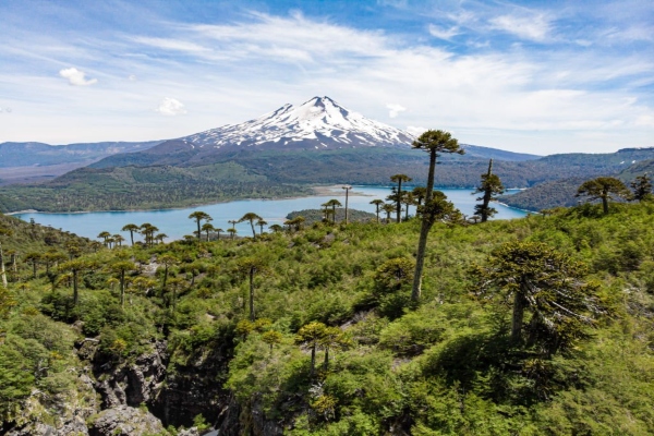 Un volcán en Chile